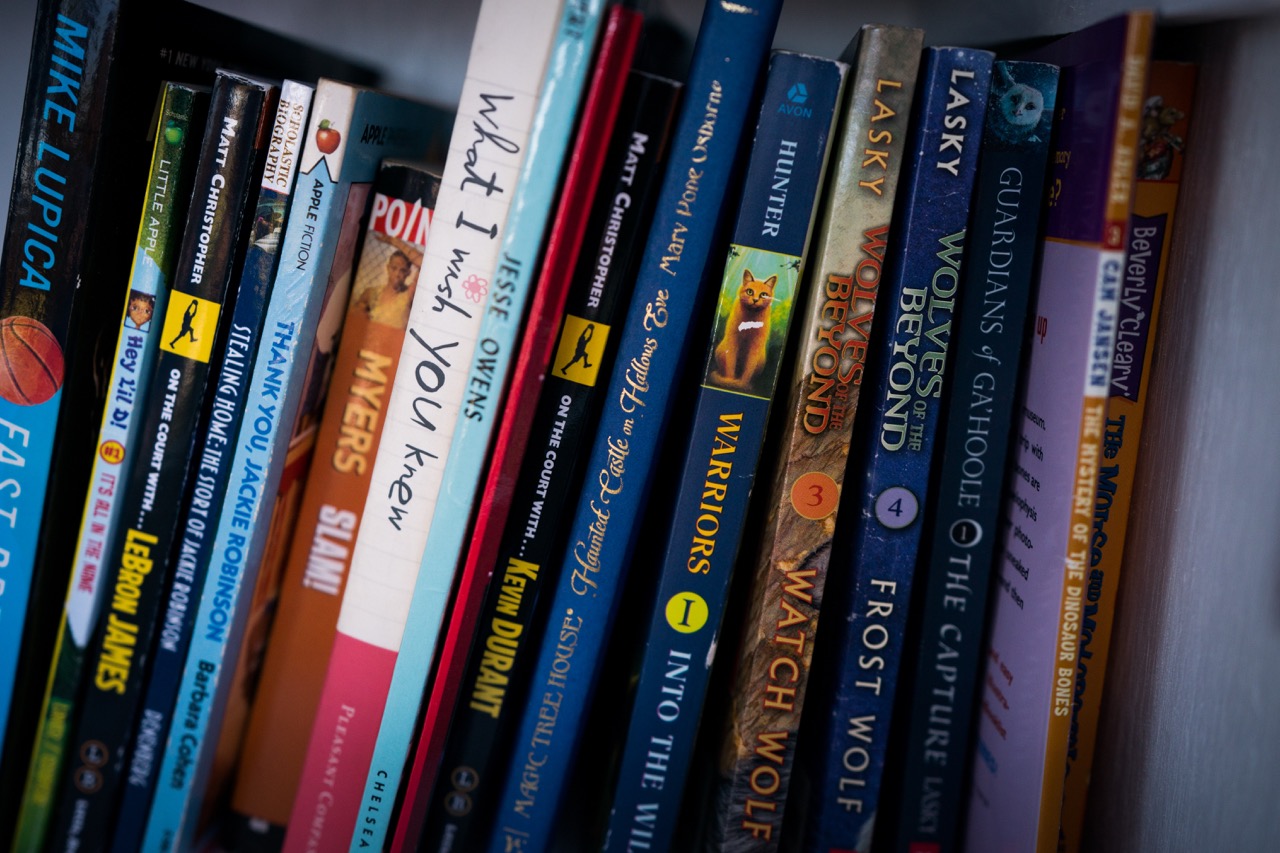 Close-up of children's books arranged on a bookshelf.